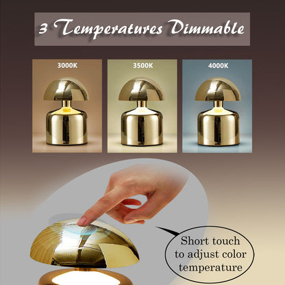 Metal Touch Table Lamp